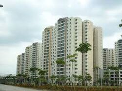 Blk 303C Coralinus (Punggol), HDB 4 Rooms #547508671